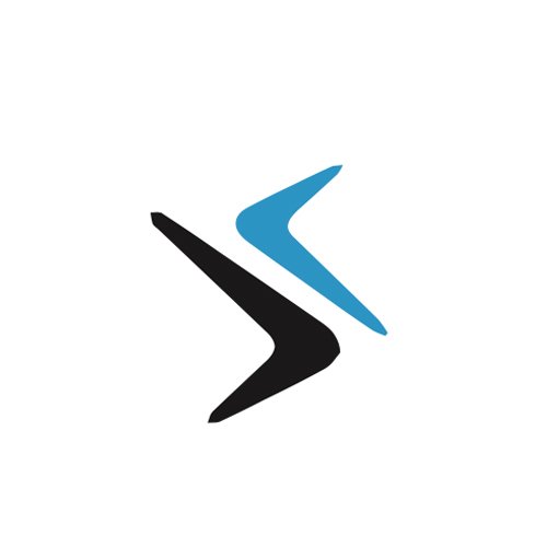 Vinilos Smartgyro DualMax 2 DGT